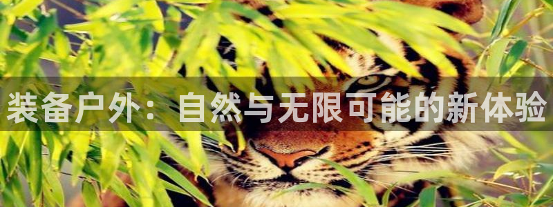 先锋娱乐提现多久到账