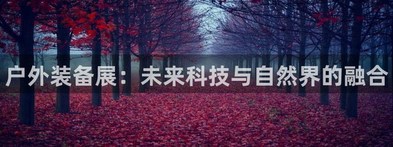 先锋岛娱乐