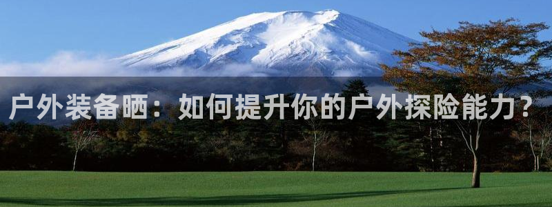 先锋电子车载娱乐系统