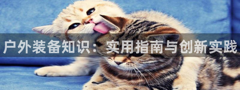 先锋娱乐体育