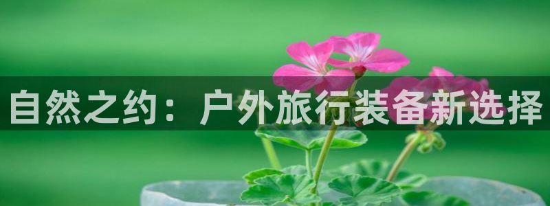 先锋娱乐剪辑