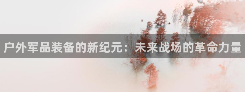 先锋娱乐系统