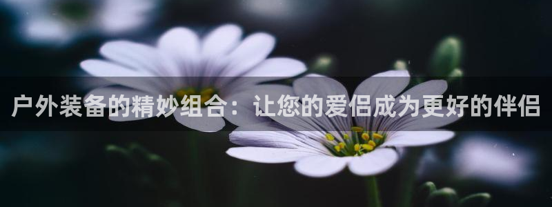 威斯汀娱乐先锋