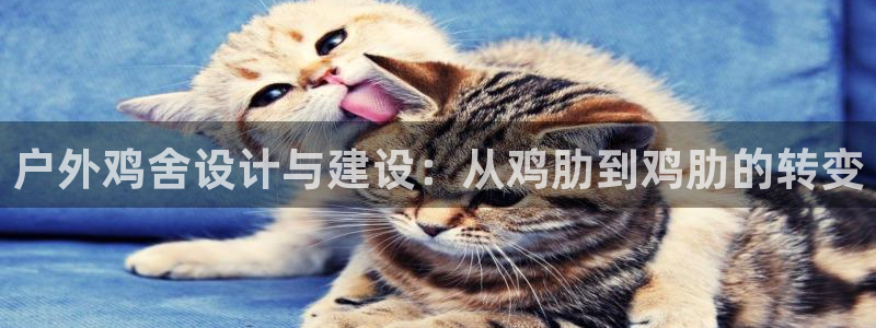 娱乐急先锋全集下载