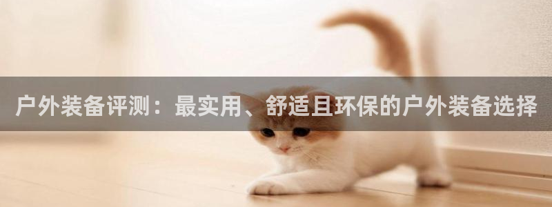 娱乐急先锋全集下载
