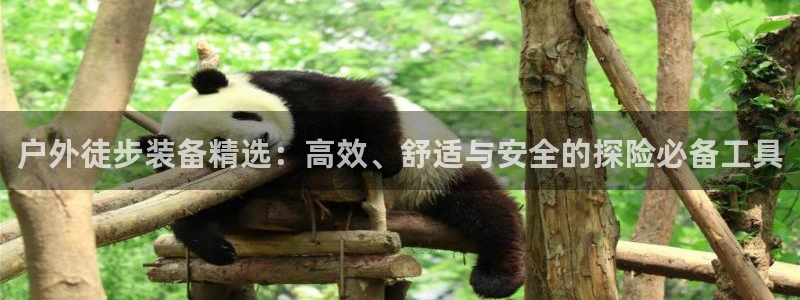 先锋岛娱乐