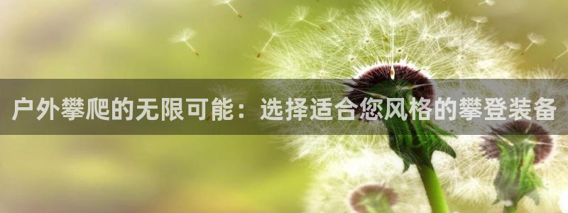 先锋队娱乐