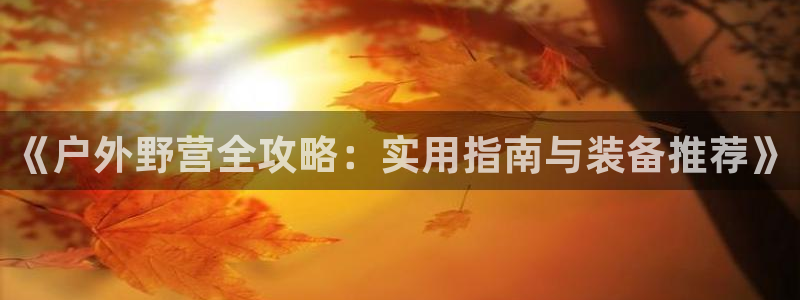 先锋电子车载娱乐系统