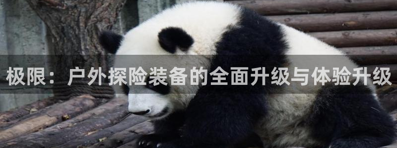 先锋综合娱乐