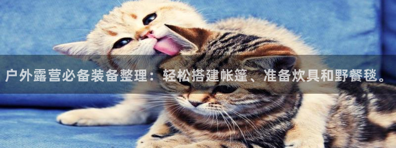 先锋游戏娱乐