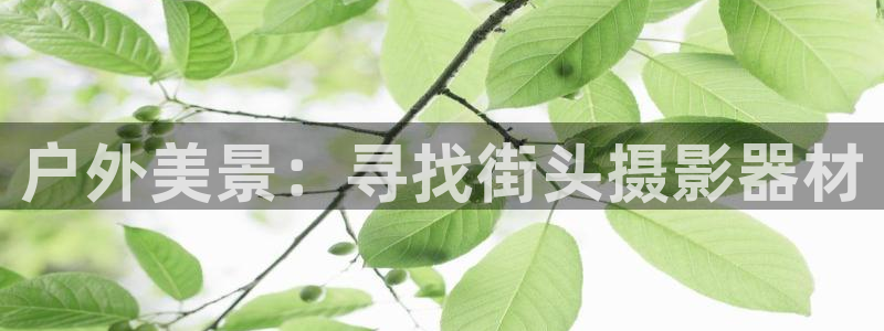 怎么下载先锋娱乐大厅