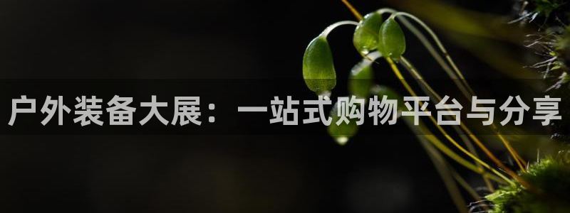 先锋娱乐