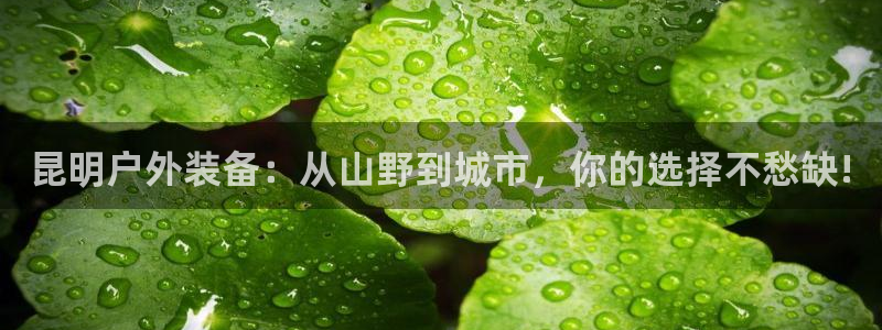 先锋娱乐管理集团招聘