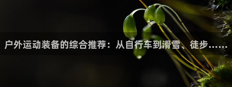 先锋娱乐在线
