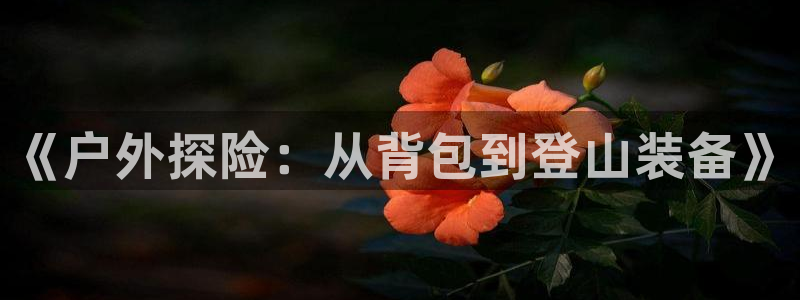 先锋娱乐传媒