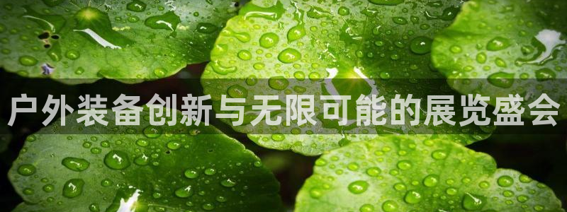先锋娱乐管理集团