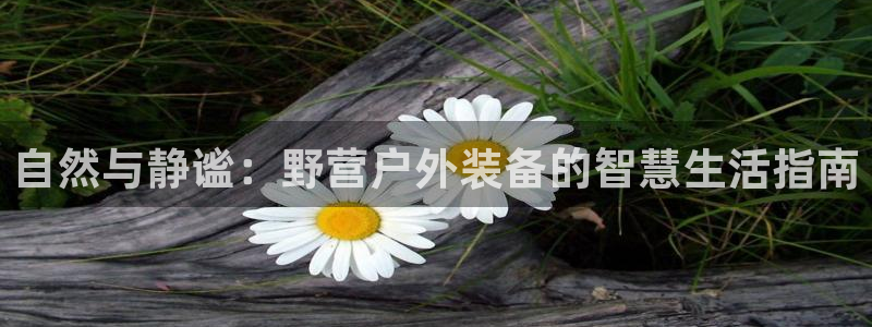 先锋娱乐游戏大厅下载