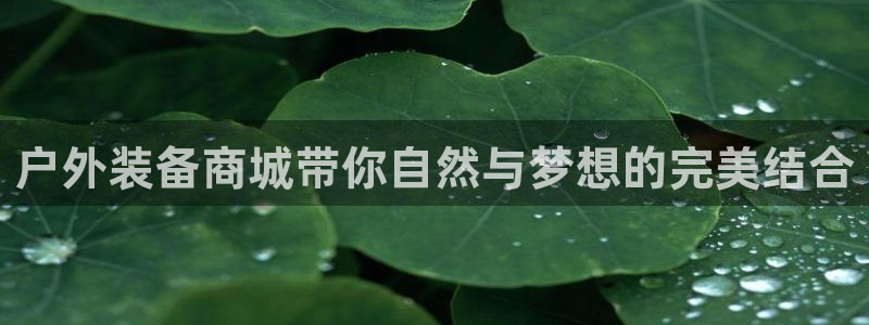 先锋娱乐转进去钱