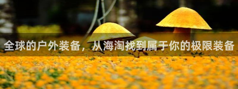 先锋娱乐游戏上分视频