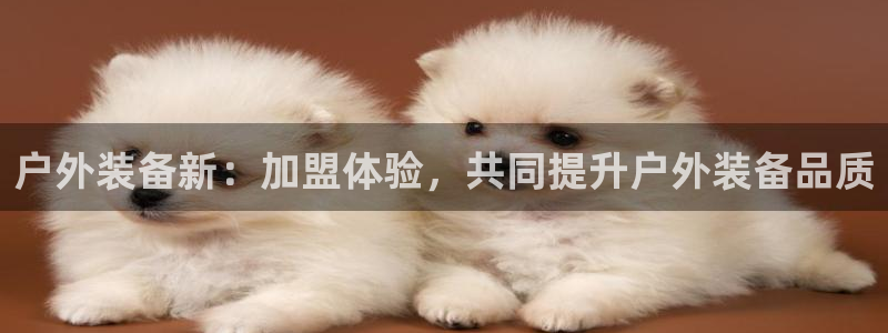 先锋澳门新娱乐