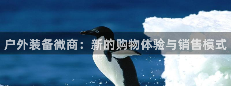 威斯汀娱乐先锋