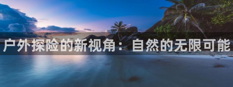 先锋互动娱乐