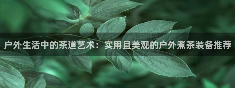 先锋娱乐集团公司