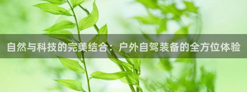 先锋娱乐体育管理集团