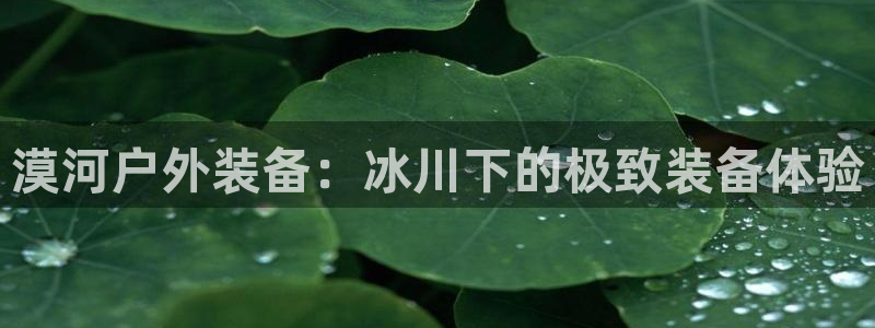 先锋娱乐链接