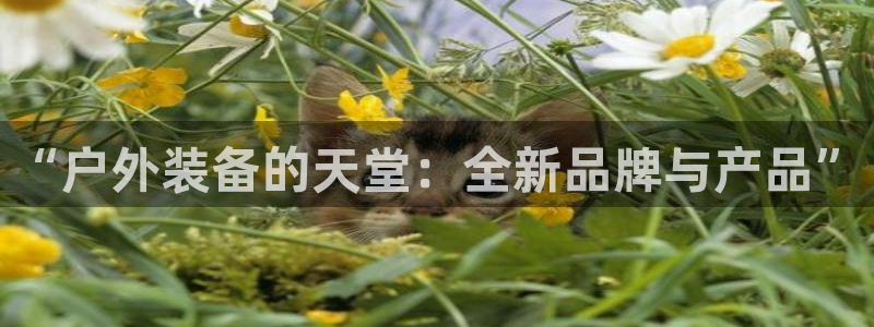 先锋娱乐理财logo