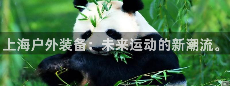 先锋娱乐大厅牛牛