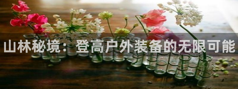 先锋娱乐公司正规吗吗