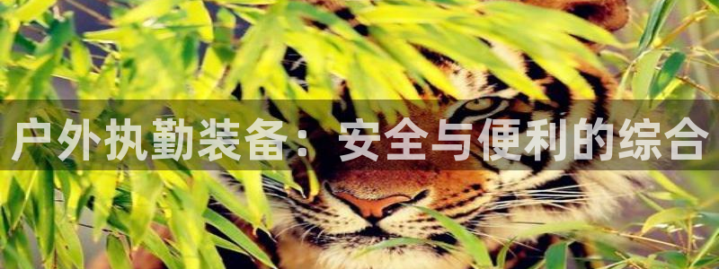 先锋娱乐赛