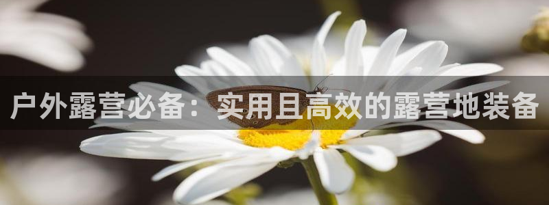 先锋电子车载娱乐系统