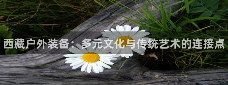 先锋娱乐游戏大厅下载