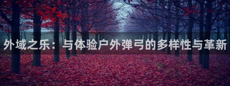先锋支付娱乐城