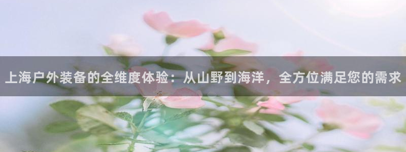 先锋娱乐公司