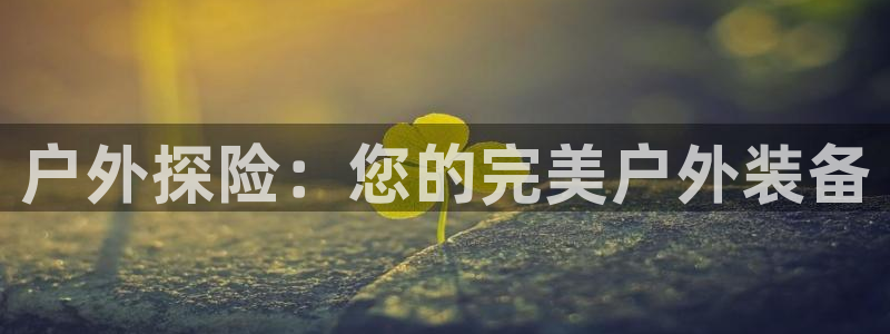 贵州先锋娱乐