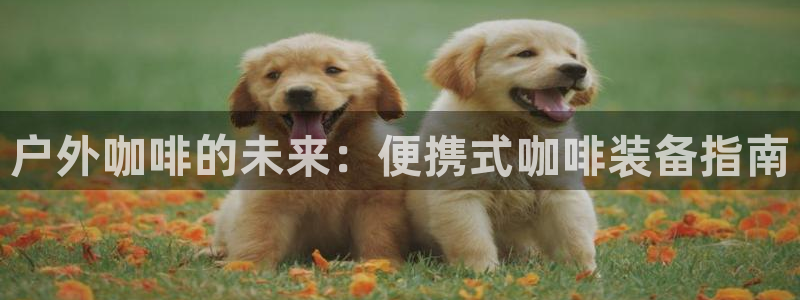 先锋娱乐网67xf