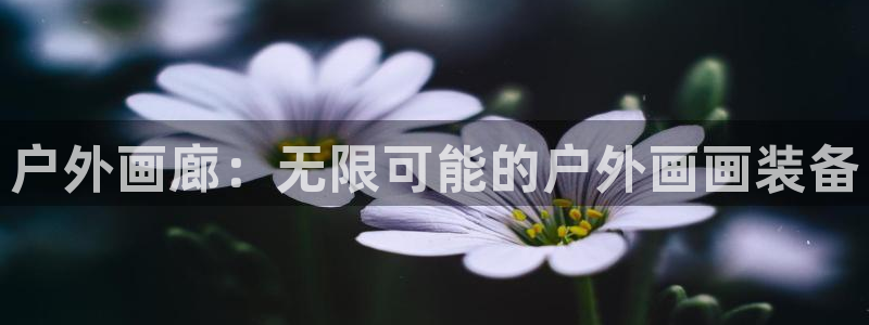 先锋娱乐软件