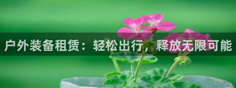 先锋娱乐在线