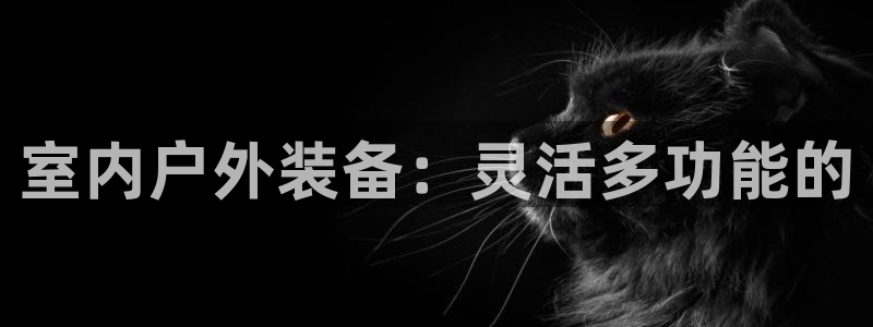 娱乐急先锋全集下载