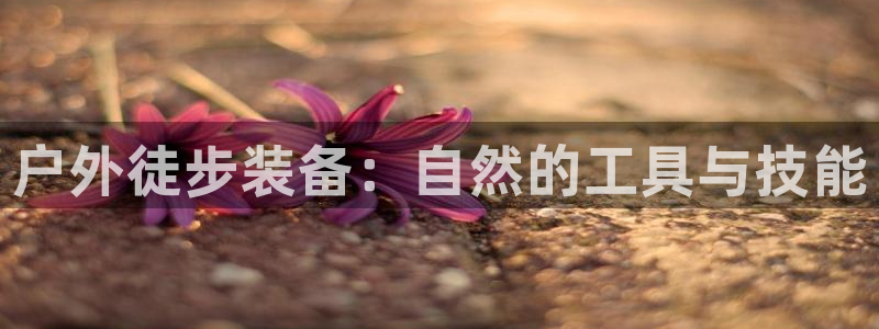 时代先锋娱乐