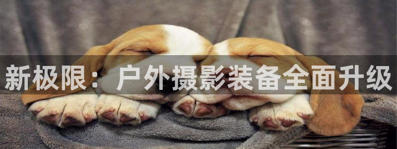 先锋娱乐资讯官网入口