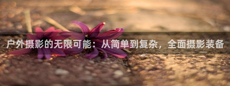 先锋岛娱乐