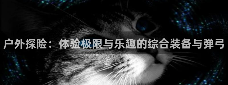 先锋娱乐官