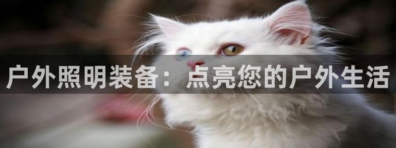 先锋娱乐大厅透视