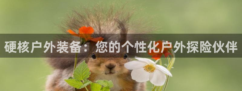 先锋娱乐邀请码多少位啊