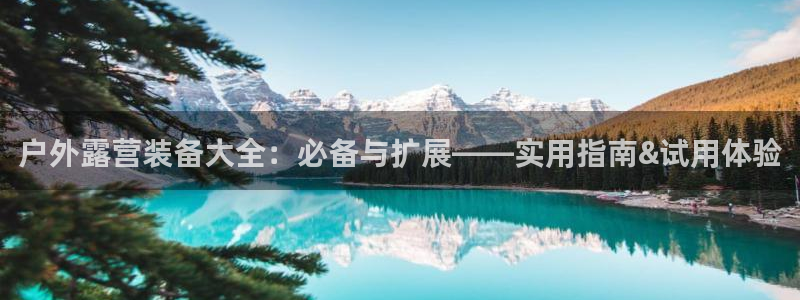 先锋电子旗下先锋娱乐