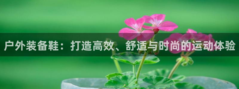 先锋方舟娱乐集团